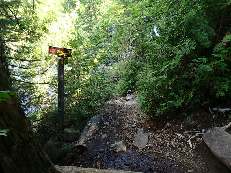 Start of trail up Mt. Colden.