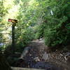 Start of trail up Mt. Colden.