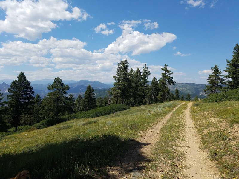 Heading north on the trail