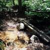 Bear Creek Crossing on Bear Creek Trail (#666).