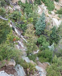 Waterfall near the end of Bear Creek Trail (#666). Follow the "Dead End" trail sign.