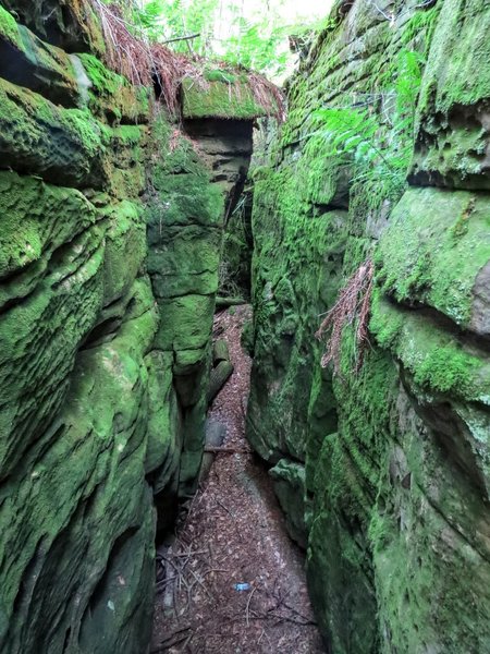 One of the great crevices that kids can see in Beartown State Park