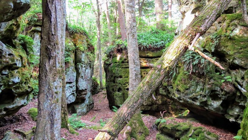 Beartown State Park features these amazing, pitted, sandstone formations throughout the boardwalk.