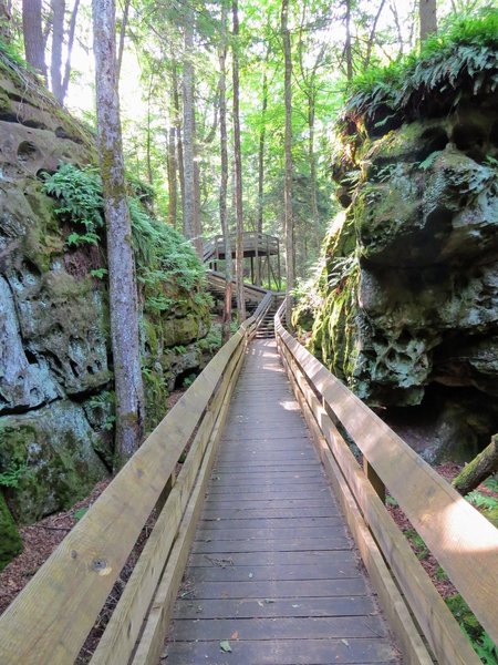 Beartown State Park boardwalk looking towards a viewing platform in the distance.