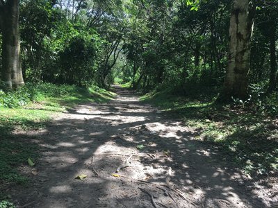Trails inside the park on a sunny morning.