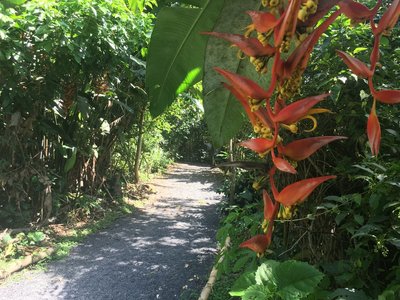 Pedestrian path coming from one of the parking lot