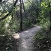 The connector between Barton Creek Trail and the Eagles Landing Loop Trail.