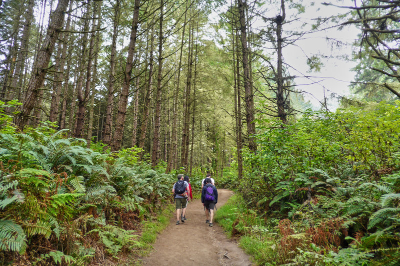 Scenic walk along Bass Lake.