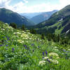 Looking back towards the lower basin from 11,700'