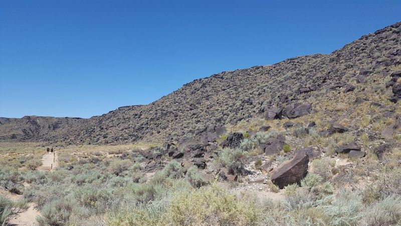 Along the north side of the loop, looking west