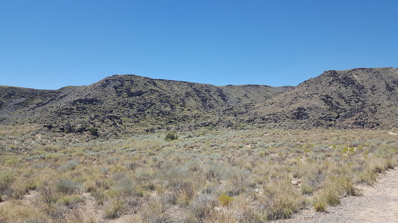 Rinconda Canyon Trail, nearing the end of the loop.