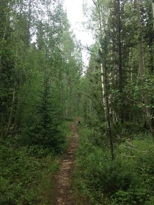 Climbing Burning Bear.