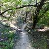 Palos Verdes Trail.... heading towards Hurst Hollow.