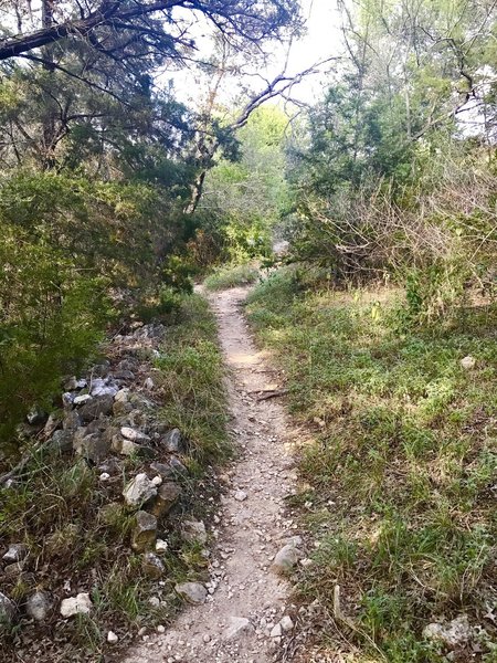 Hurst Hollow Trail ...headed towards the hollow lookout.