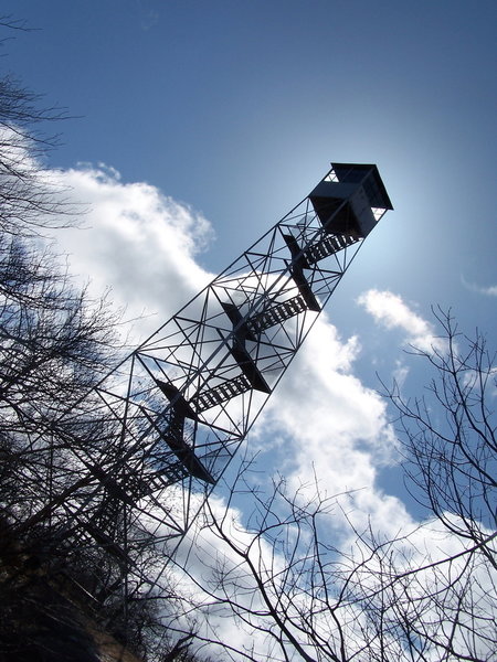 Tower Back Lit