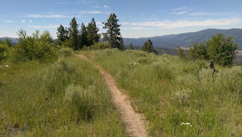 Looking down into Garden Valley