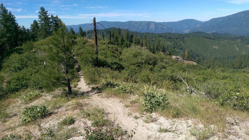 Looking down the ridge