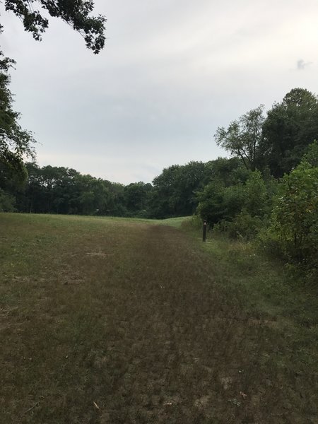 Field toward the beginning of the trail.