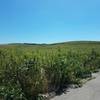 View of the Visitor/Learning Center from the Tallgrass Trail.