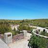 The biology department and volunteers take care of these raised beds along the trail. It is packed with biodiversity.