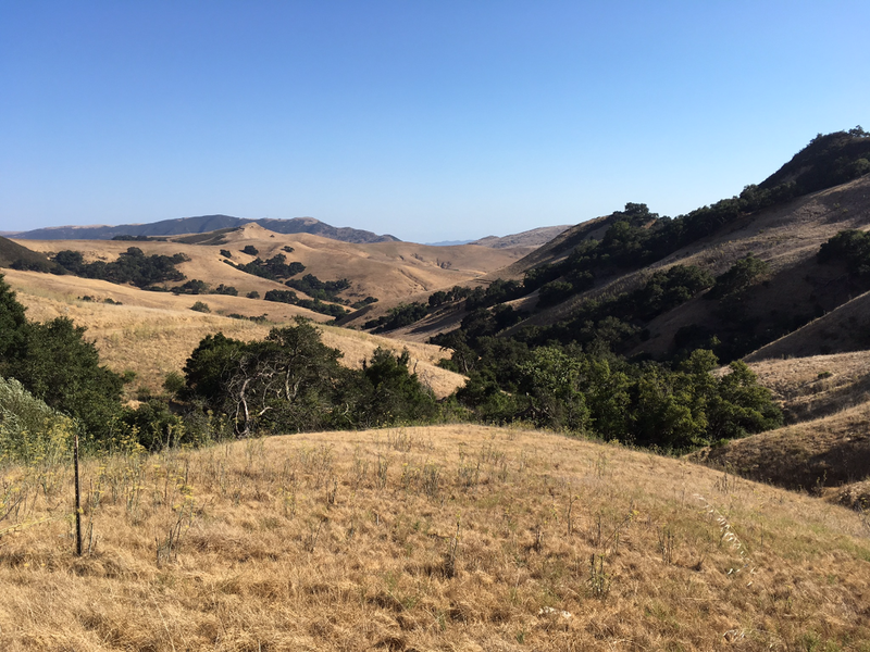 The view from one of the hills on the Poly Canyon Trail