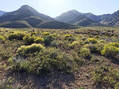 Dead Horse landscape.