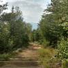 Black Cap "Spur" Path, connects back to main trail