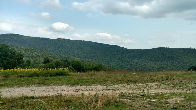 Looking at Black Cap from Cranmore Mountain (Backside)