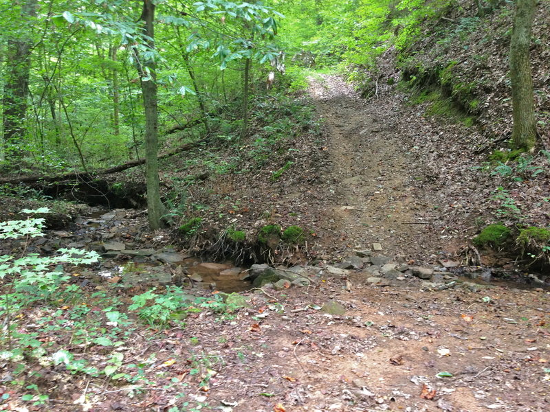 Stream crossing at the lowest point of the trail.