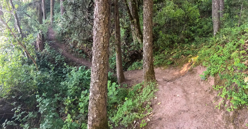 The North Shore Trail follows constantly rolling terrain and rarely stays flat.