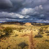 More amazing views. Foothills Rim Trail