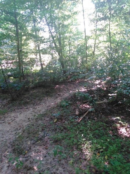 Trailhead to a singletrack dirt trail