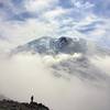 Mount Rainier peaking out from the clouds. At the top of Third Burroughs.