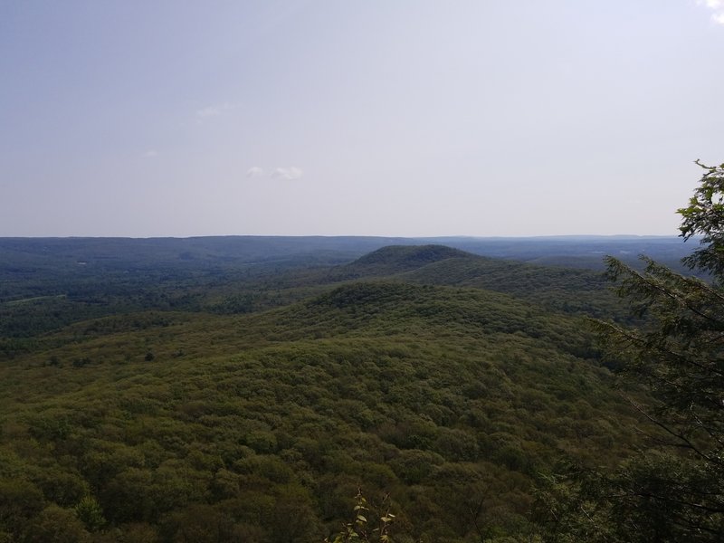 View east from Mt. Norwottock false summit.