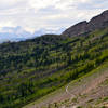 Looking back toward Granite Park Chalet.