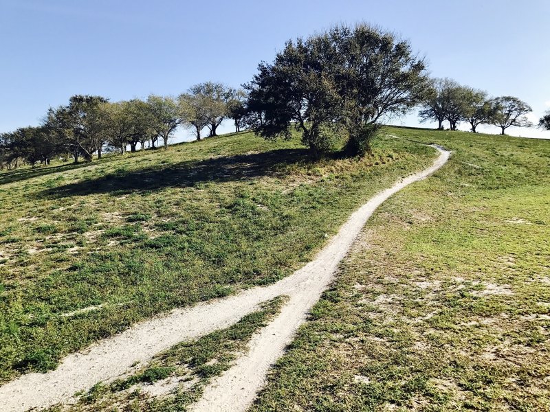 The descent on the southwest side of the hill is pretty mellow.