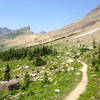 As you finally break through the tree line, you can see the trail climb all the way up to Piegan Pass.