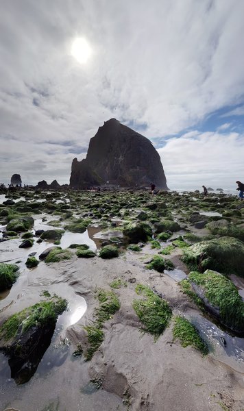 Haystack Rock