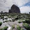 Haystack Rock