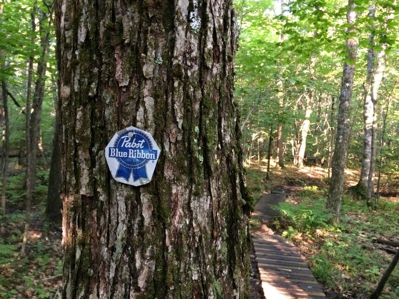 An "authentic" Blue Ribbon Trail Sign.