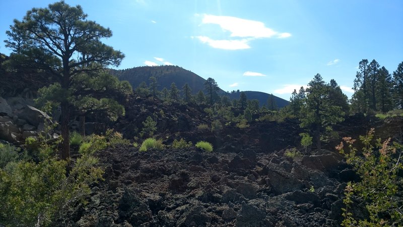 Sunset Crater / Lava Flow