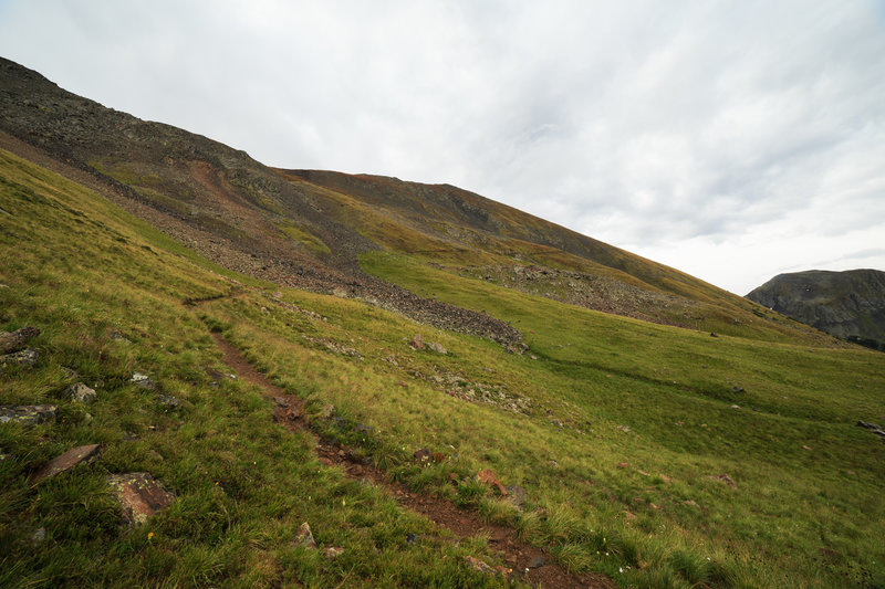 Wheeler Peak's northwest slopes during a rainy August morning