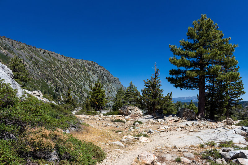 Cathedral Peak from the Glen Alpine Trail.