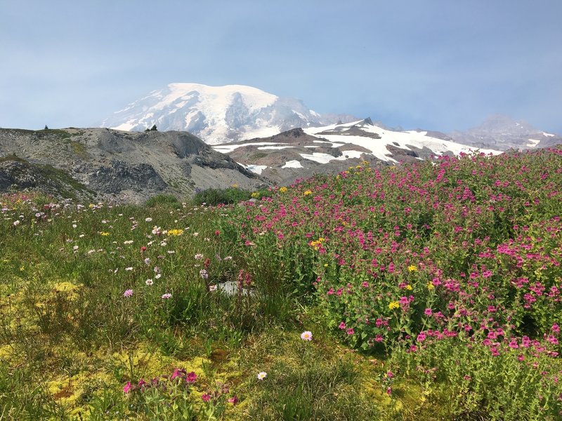 Mount Rainier