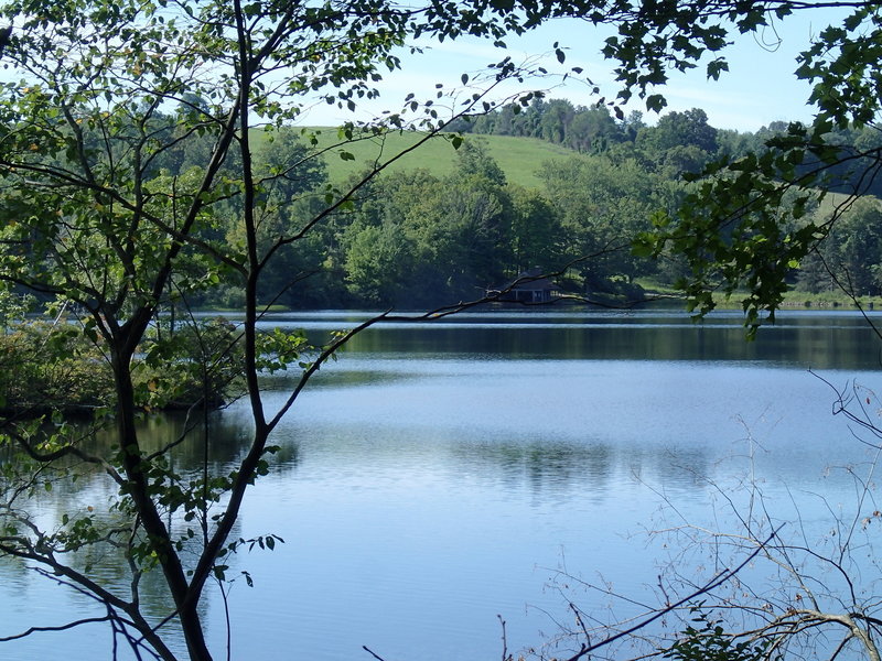 Clove Creek Pond