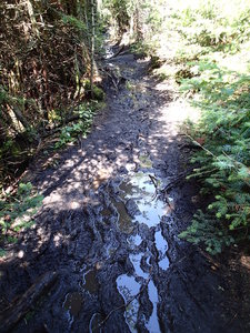 Poor trail conditions even when sunny