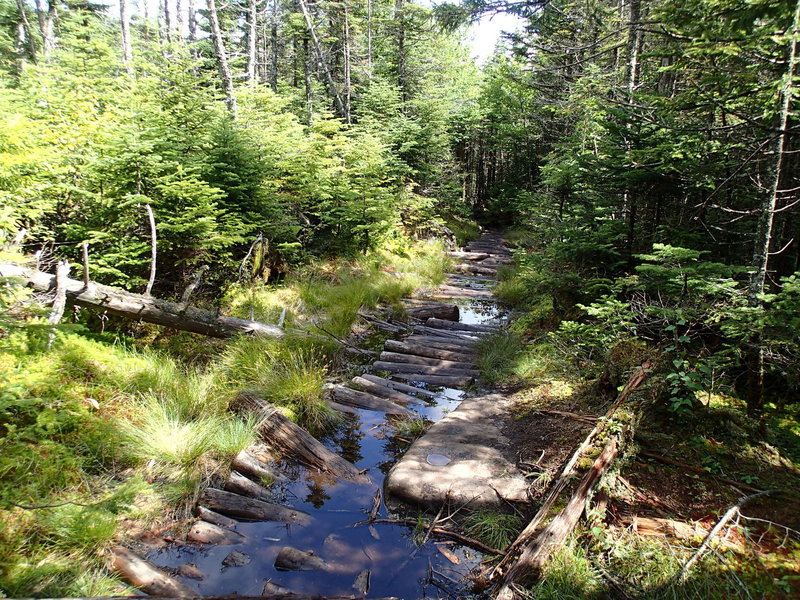 Whiteface Mountain Trail