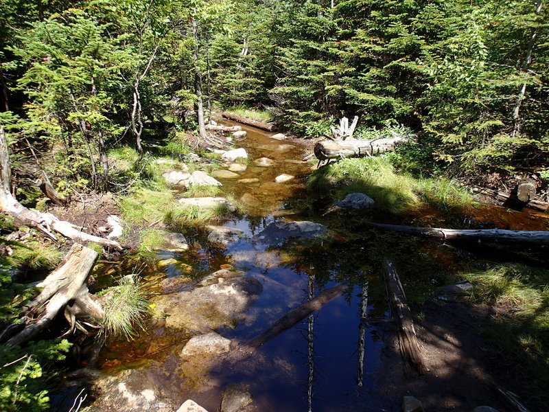 Trail on Esther Mountain