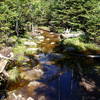 Trail on Esther Mountain