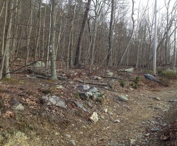 Looking uphill from power line climb, keep your eyes peeled for the double-diamond blazes marking the re-entrance to singletrack.